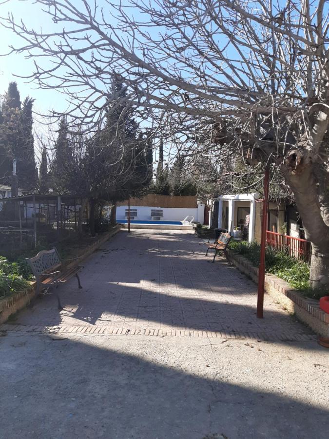Apartamento Urbano Y Natural Granada